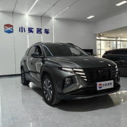 
										Hyundai Tucson (III), 2023 full									