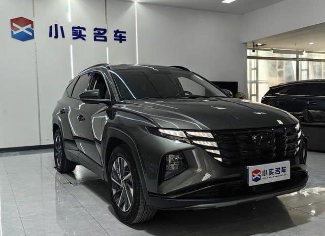 
								Hyundai Tucson (III), 2023 full									