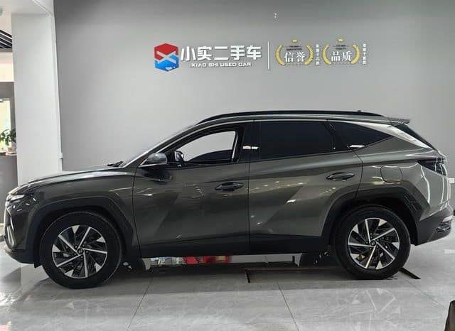 
								Hyundai Tucson (III), 2023 full									