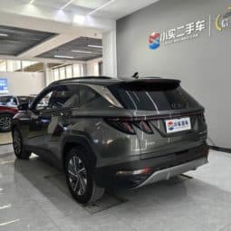 
										Hyundai Tucson (III), 2023 full									