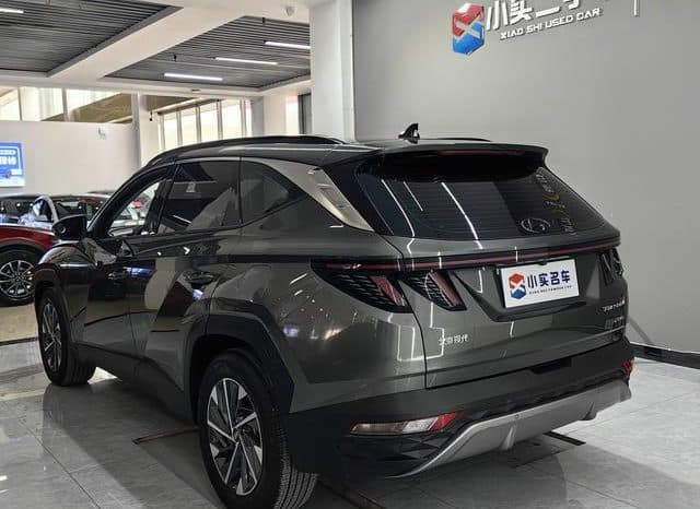 
								Hyundai Tucson (III), 2023 full									