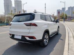 
										Geely Okavango (I), 2021 full									