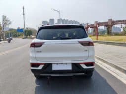 
										Geely Okavango (I), 2021 full									