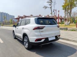 
										Geely Okavango (I), 2021 full									