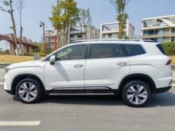 
										Geely Okavango (I), 2021 full									