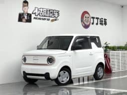 Geely Panda, 2024