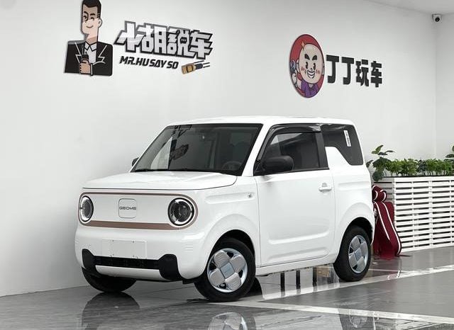 67d2c3860f325 Geely Panda, 2024
