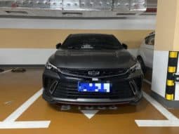 
										Geely Binrui, 2023 full									