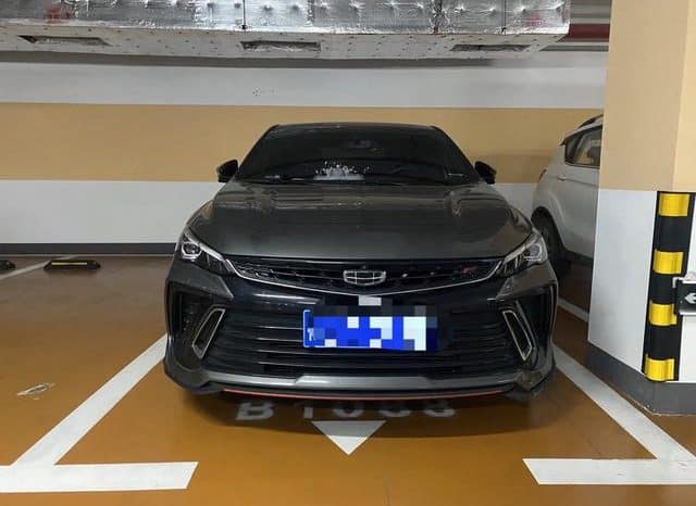 
								Geely Binrui, 2023 full									