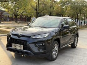 Toyota Wildlander, 2022