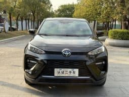 
										Toyota Wildlander, 2022 full									