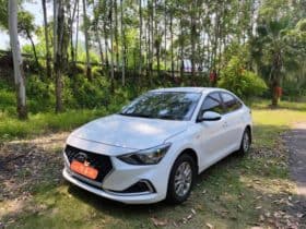 Hyundai Celesta, 2020