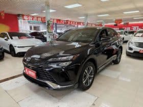 Toyota Venza, 2022
