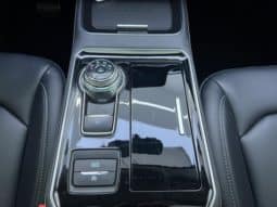
										Ford Edge (II), 2022 full									