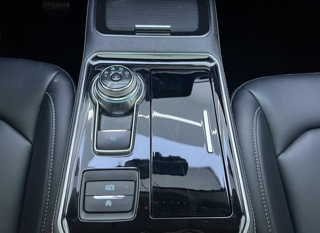 
								Ford Edge (II), 2022 full									