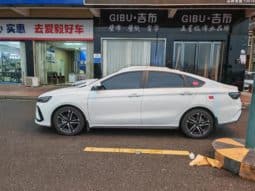 
										Geely Binrui, 2023 full									