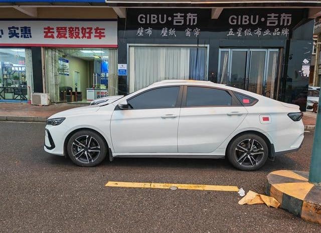 
								Geely Binrui, 2023 full									