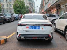 
										Geely Binrui, 2023 full									