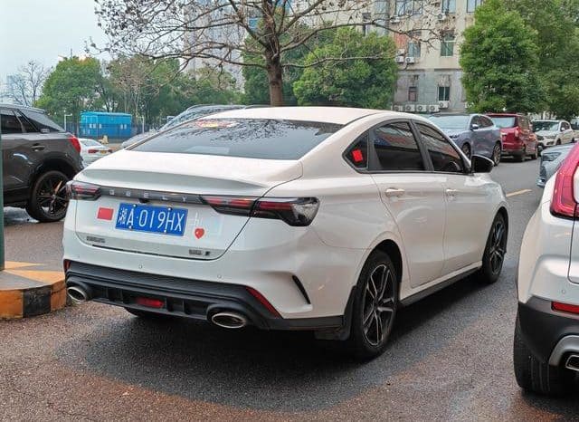 
								Geely Binrui, 2023 full									