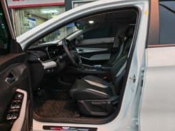 
										Geely Binrui, 2023 full									