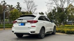 
										Honda Avancier (II), 2022 full									