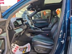 
										Geely Monjaro, 2021 full									