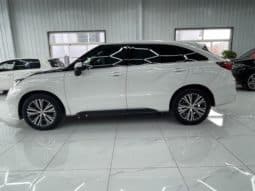 
										Honda Avancier (II), 2020 full									