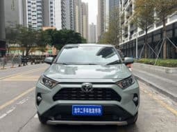 
										Toyota RAV4 (IV), 2020 full									