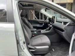 
										Toyota RAV4 (IV), 2020 full									