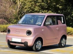 67d2e28f3c9f7 Geely Panda, 2024
