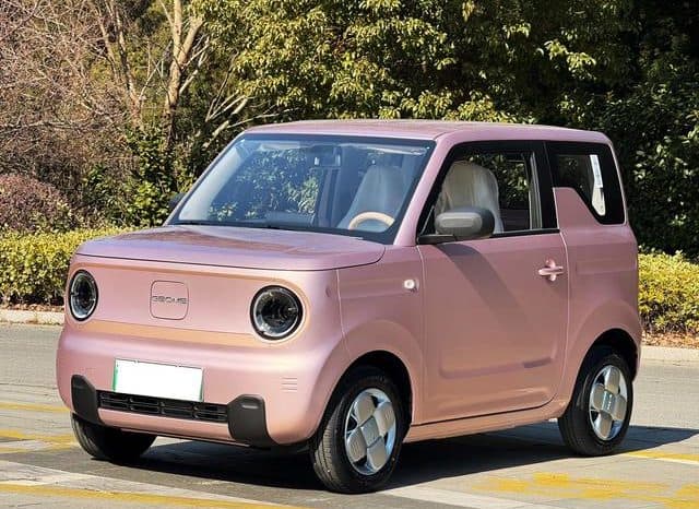 67d2e28f3c9f7 Geely Panda, 2024