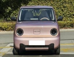 
										Geely Panda, 2024 full									