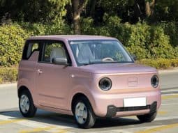 
										Geely Panda, 2024 full									