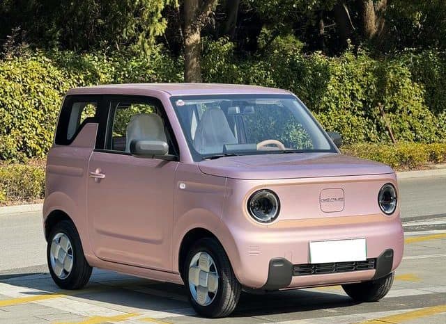 
								Geely Panda, 2024 full									