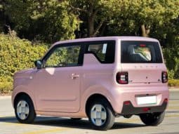 
										Geely Panda, 2024 full									