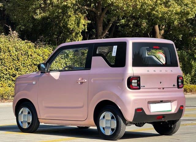 
								Geely Panda, 2024 full									