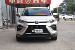 
										Toyota Wildlander, 2021 full									