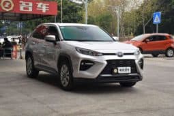 
										Toyota Wildlander, 2021 full									