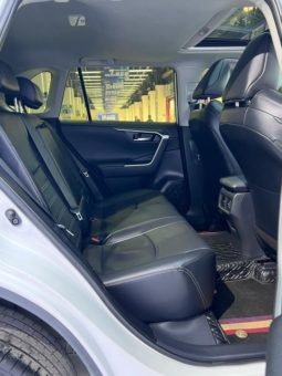 
										Toyota Wildlander, 2022 full									