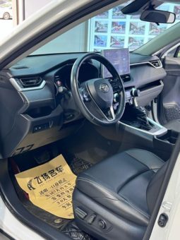 
										Toyota Wildlander, 2022 full									