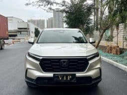 
										Honda CR-V (III), 2022 full									