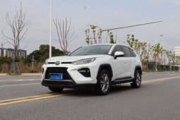 67d2f172f0857 Toyota Wildlander, 2022