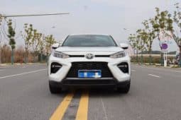 
										Toyota Wildlander, 2022 full									