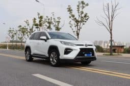 
										Toyota Wildlander, 2022 full									