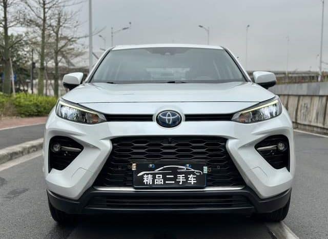 
								Toyota Wildlander, 2021 full									