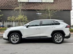 
										Toyota Wildlander, 2021 full									