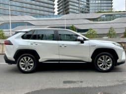 
										Toyota Wildlander, 2021 full									