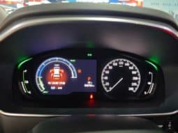 
										Honda Elysion, 2023 full									