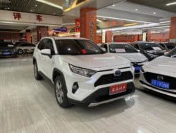 
										Toyota RAV4 (IV), 2022 full									