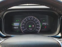 
										Honda Elysion, 2022 full									